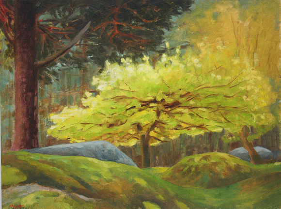 yellow tree - longshaw estate